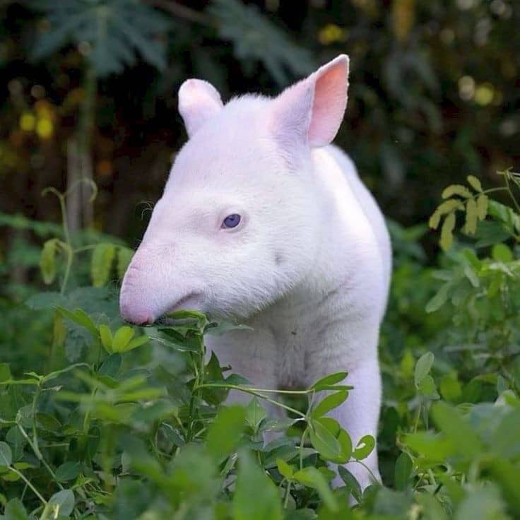 Therapeutic Environment